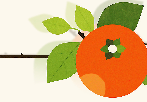 PSD 디자인 예술 상징 컬러 백그라운드 잎 과일 일러스트 자연 초록색 주황색 나뭇가지 표현 신선 원형 그림 국내일러스트 도형 나무 식물 생태계 파일형식