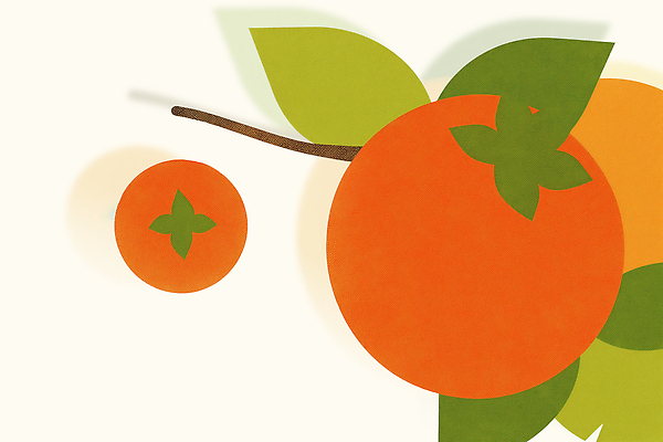 PSD 디자인 상징 잎 과일 일러스트 자연 장식 주황색 표현 배열 열대과일 모던 색감 국내일러스트 식물 컬러 생태계 파일형식