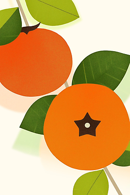 PSD 식물 디자인 컬러 백그라운드 잎 과일 일러스트 자연 건강 초록색 주황색 신선 유기농 상큼 조화 단순화된 창의성 국내일러스트 웰빙 생태계 파일형식