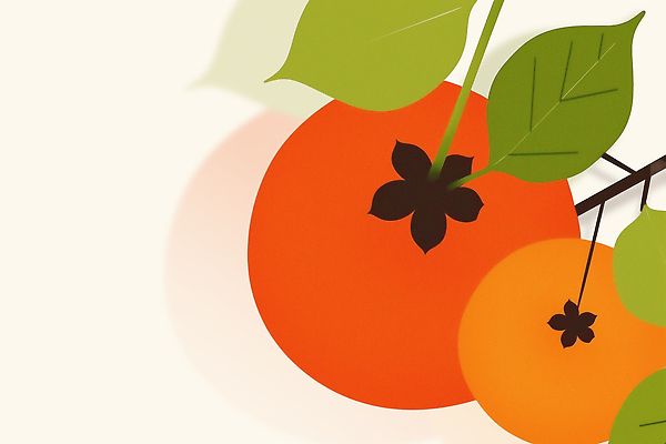 모양 PSD 식물 디자인 열매 예술 컬러 백그라운드 잎 과일 일러스트 자연 생명 감 배열 조화 색감 정물화 국내일러스트 그림 생태계 파일형식