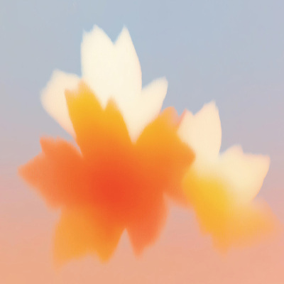 JPG 구름 시선 꽃 예술 컬러 백그라운드 일러스트 자연 하늘 형상 풍경 평화 고요 일몰 관찰 저녁 부드러움 뷰티풀 색감 환상 국내일러스트 AI일러스트 AI콘텐츠 자연요소 식물 컨셉 모션 노을 감각 야간 생태계 파일형식