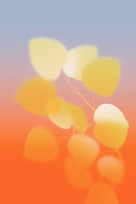 JPG 모양 식물 디자인 예술 컬러 백그라운드 잎 패턴 일러스트 자연 생명 추상 여름 부드러움 그라데이션 타원형 뷰티풀 색채 국내일러스트 AI일러스트 AI콘텐츠 계절 무늬 원형 감각 생태계 파일형식