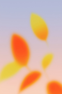 JPG 컬러 낙엽 잎 일러스트 자연 하늘 바람 따뜻함 풍경 여름 가을 변화 저녁 필름 감성 뷰티풀 순간 국내일러스트 AI일러스트 AI콘텐츠 자연요소 식물 계절 컨셉 날씨 야간 생태계 파일형식