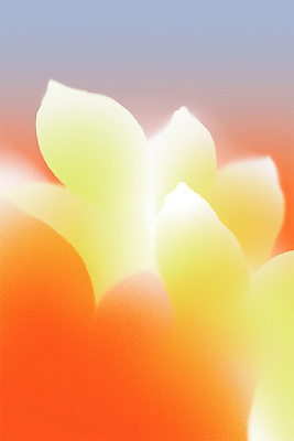 JPG 디자인 꽃잎 꽃 예술 컬러 백그라운드 일러스트 자연 노란색 평화 분위기 부드러움 조화 뷰티풀 색감 국내일러스트 AI일러스트 AI콘텐츠 식물 컨셉 감각 생태계 파일형식