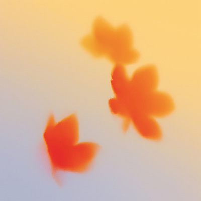 JPG 계절 백그라운드 단풍 잎 일러스트 모션 자연 하늘 조명 따뜻함 풍경 빨간색 평화 고요 가을 변화 저녁 느림 뷰티풀 국내일러스트 AI일러스트 AI콘텐츠 식물 컬러 컨셉 야간 생태계 파일형식