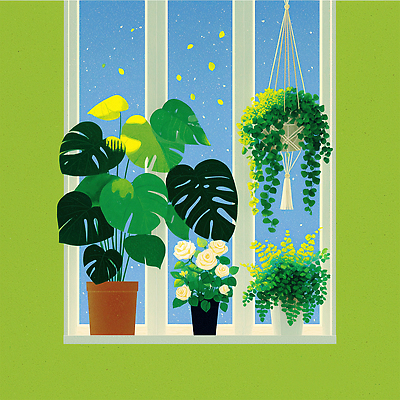 JPG 식물 꽃 화분 컬러 백그라운드 일러스트 실내 초록색 여름 인테리어 신선 창가 힐링 조화 뷰티풀 공기정화식물 홈가드닝 국내일러스트 AI일러스트 AI콘텐츠 디자인 계절 창문 내부 원예 파일형식