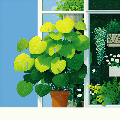 JPG 식물 꽃 화분 잎 일러스트 자연 생명 집안 실내 풍경 장식 초록색 햇빛 공간 대기 식물원 국내일러스트 AI일러스트 AI콘텐츠 컬러 내부 태양 생태계 파일형식