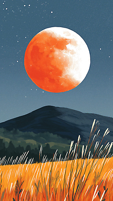 JPG 별 야경 일러스트 자연 하늘 산 풍경 초원 여름 농장 평화 고요 일몰 금색 신비 뷰티풀 목가 국내일러스트 AI일러스트 AI콘텐츠 자연요소 계절 컬러 컨셉 농업 노을 야간 생태계 파일형식 풍경_경치