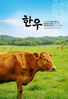 PSD 동물 편집이미지 농업 자연 건강 초원 농장 가축 목장 자유 소 축산업 친환경 유기농 한우 이미지편집 웰빙 산업 컨셉 포유류 환경 소고기 생태계 파일형식