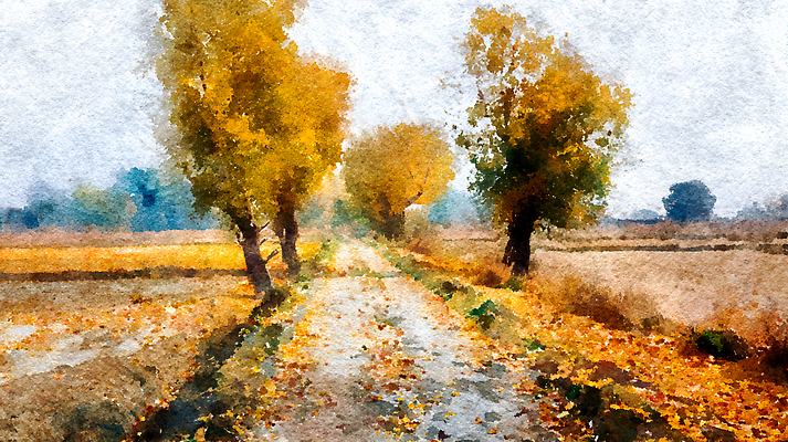 JPG 나무 길 컬러 단풍 잎 일러스트 자연 하늘 산 풍경 햇빛 평화 고요 산책 가을 농촌 시골 떨어짐 뷰티풀 색감 국내일러스트 AI일러스트 AI콘텐츠 식물 계절 컨셉 휴식 태양 생태계 파일형식