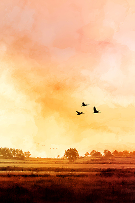 JPG 동물 컬러 여행 일러스트 자연 하늘 풍경 초원 공중 고요 일몰 감상 탐험 비행 저녁 생태계 지역 철새 뷰티풀 국내일러스트 AI일러스트 AI콘텐츠 조류 노을 야간 파일형식