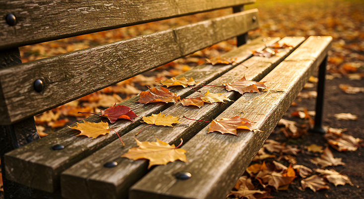 JPG 나무 편집이미지 공원 여유 컬러 단풍 잎 벤치 자연 휴식 풍경 감상 가을 오후 편집실사 AI포토 AI콘텐츠 식물 계절 공공시설 감정 컨셉 의자 CG 생태계 파일형식