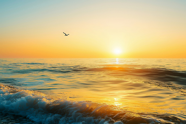 JPG 편집이미지 파도 바다 자연 하늘 생명 아침 풍경 햇빛 태양 일출 고요 생동감 수평선 편집실사 AI포토 AI콘텐츠 주간 자연요소 노을 CG 생태계 파일형식