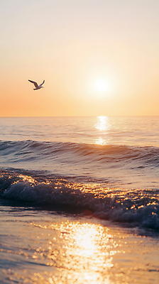 JPG 편집이미지 물결 파도 바다 자연 갈매기 하늘 풍경 해변 햇빛 일몰 자유 수평선 편집실사 AI포토 AI콘텐츠 컨셉 조류 태양 노을 CG 생태계 파일형식