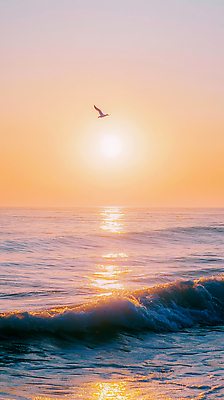 JPG 편집이미지 물결 바다 자연 갈매기 하늘 항해 여름 빛 태양 평화 노을 일몰 꿈 저녁 수평선 편집실사 AI포토 AI콘텐츠 자연요소 계절 컨셉 배_교통 조류 야간 CG 생태계 파일형식