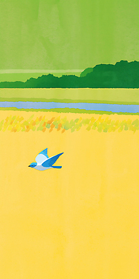 JPG 나무 일러스트 자연 조류 하늘 생명 풍경 초원 여름 파란색 강 노란색 평화 환경 촬영 자유 비행 생태계 조용 뷰티풀 국내일러스트 AI일러스트 AI콘텐츠 식물 동물 계절 컬러 컨셉 파일형식