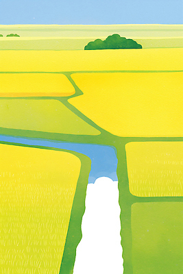 JPG 식물 계절 예술 농업 일러스트 자연 하늘 풍경 초원 초록색 물 평화 환경 금색 수확 농촌 도시 지형 평야 풍요 국내일러스트 AI일러스트 AI콘텐츠 자연요소 산업 컬러 컨셉 시골 생태계 파일형식