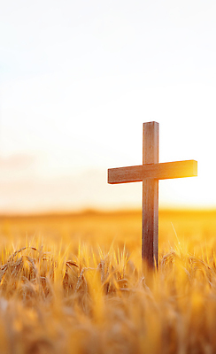 JPG 나무 편집이미지 종교 십자가 농업 자연 풍경 여름 햇빛 평화 고요 금색 저녁 신성 밀밭 뷰티풀 편집실사 AI포토 AI콘텐츠 식물 계절 산업 컬러 컨셉 밭 태양 야간 밀 CG 생태계 파일형식