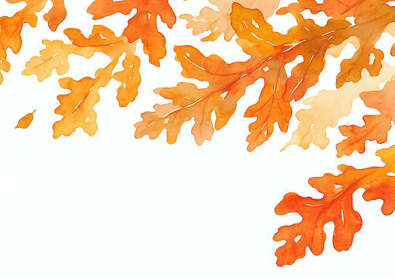 JPG 계절 예술 컬러 백그라운드 잎 일러스트 자연 생명 나뭇잎 수채화 풍경 가을 화려 편안함 배열 감성 떡갈나무 뷰티풀 창의성 국내일러스트 AI일러스트 AI콘텐츠 나무 식물 컨셉 감각 생태계 파일형식