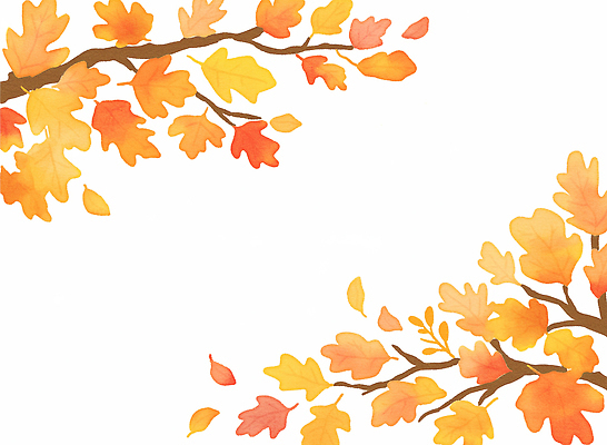 JPG 계절 예술 컬러 단풍 잎 일러스트 자연 생명 수채화 따뜻함 풍경 빨간색 원근감 가을 나뭇가지 뷰티풀 국내일러스트 AI일러스트 AI콘텐츠 나무 식물 뷰포인트 생태계 파일형식