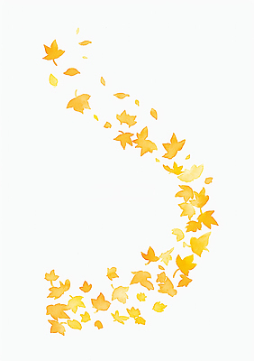 JPG 모양 나무 계절 컬러 낙엽 잎 일러스트 자연 생명 바람 형상 풍경 노란색 가을 변화 조화 뷰티풀 흩날리기 국내일러스트 AI일러스트 AI콘텐츠 자연요소 식물 컨셉 모션 날씨 생태계 파일형식