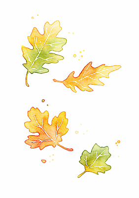 JPG 모양 식물 디자인 계절 예술 컬러 백그라운드 단풍 잎 일러스트 자연 풍경 그래픽 빨간색 초록색 노란색 물감 가을 화사함 뷰티풀 국내일러스트 AI일러스트 AI콘텐츠 컨셉 미술도구 생태계 파일형식