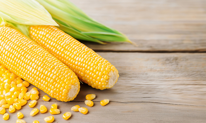 JPG 편집이미지 음식 농업 재료 자연 탁자 건강 옥수수 요리 목재 여름 농작물 노란색 식사 수확 신선 편집실사 AI포토 AI콘텐츠 나무 계절 산업 컬러 가구 곡류 CG 생태계 파일형식