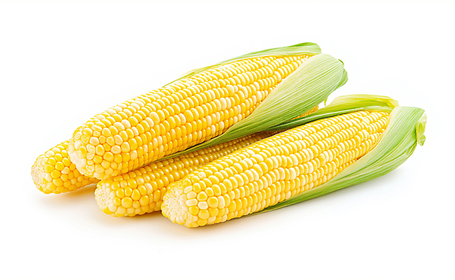 JPG 편집이미지 재료 건강 옥수수 요리 여름 농작물 주방 식사 샐러드 수확 신선 구이 편집실사 AI포토 AI콘텐츠 영양군 계절 음식 농업 곡류 경상북도 CG 파일형식