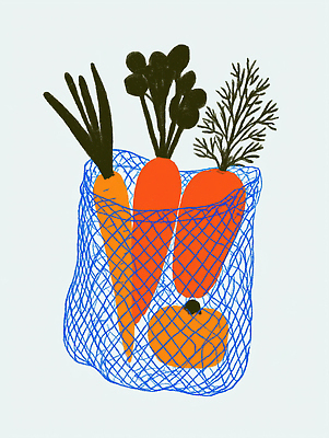 JPG 식물 전통 컬러 채소 가방 일러스트 식재료 재료 자연 생명 건강 종류 요리 농작물 식사 당근 신선 그물 시장 유기농 식단 국내일러스트 AI일러스트 AI콘텐츠 웰빙 잡화 농업 뿌리채소 생태계 파일형식