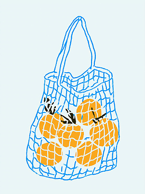 JPG 컬러 가방 과일 일러스트 자연 건강 손잡이 농작물 운동 귀여움 주황색 수확 신선 그물 시장 작음 장바구니 비타민 직사각형 편리함 국내일러스트 AI일러스트 AI콘텐츠 도형 잡화 컨셉 농업 쇼핑 바구니 크기 생태계 영양소 파일형식