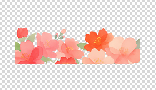 모양 식물 편집이미지 디자인 꽃 컬러 자연 생명 장식 여름 배열 꽃집 부드러움 화사함 조화 PNG 계절 컨셉 상점 감각 생태계 파일형식