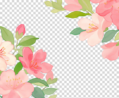 식물 편집이미지 계절 꽃 여유 자연 풍경 평화 정원 화사함 조화 PNG 만개 색감 싱그러움 오후 감정 컨셉 생태계 파일형식