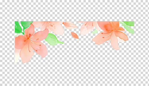 식물 편집이미지 디자인 꽃 여유 예술 분홍색 백그라운드 자연 수채화 그래픽 장식 초록색 환경 PNG 색감 감정 컬러 생태계 파일형식