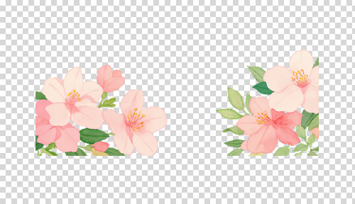 편집이미지 꽃잎 꽃 여유 컬러 자연 연꽃 정원 봄 벚꽃 그림 부드러움 화사함 조화 PNG 식물 계절 감정 컨셉 감각 생태계 파일형식