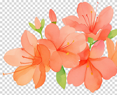 식물 편집이미지 꽃잎 예술 봄꽃 자연 생명 수채화 작가 PNG 꽃그림 복사꽃 색감 직업 꽃 봄 생태계 파일형식