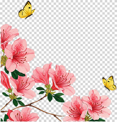 식물 편집이미지 꽃 나비 자연 풍경 초원 야외 봄 비행 진달래 화사함 PNG 생동감 계절 곤충 컨셉 생태계 파일형식