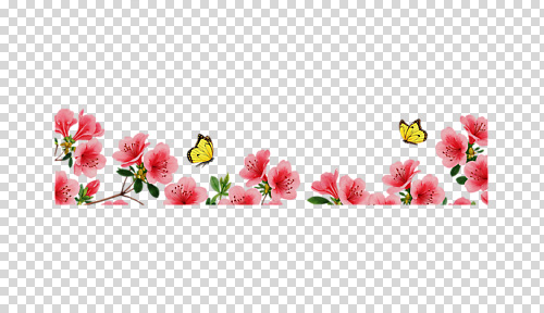 식물 편집이미지 꽃잎 나비 자연 조류 생명 풍경 일상 봄 조화 PNG 색감 동물 계절 꽃 곤충 라이프 생태계 파일형식