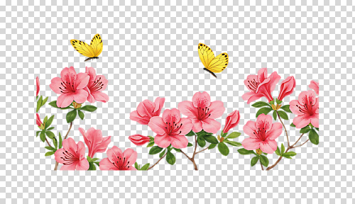 식물 편집이미지 공원 꽃 컬러 나비 자연 생명 풍경 야외 봄 진달래 화사함 PNG 만개 생동감 계절 공공시설 곤충 컨셉 생태계 파일형식