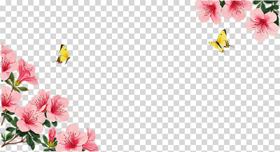 편집이미지 디자인 꽃 화초 분홍색 나비 백그라운드 자연 생명 장식 여름 노란색 봄 화사함 PNG 식물 계절 컬러 곤충 컨셉 생태계 파일형식