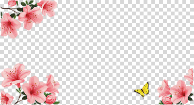 편집이미지 꽃 분홍색 나비 백그라운드 잎 자연 생명 풍경 노란색 봄 철쭉 화사함 PNG 색감 색채 식물 계절 컬러 곤충 컨셉 생태계 파일형식