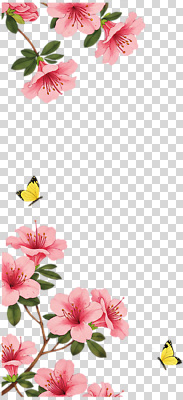 편집이미지 계절 꽃잎 꽃 컬러 나비 자연 생명 풍경 봄 벚꽃 나뭇가지 화사함 PNG 만개 나무 식물 곤충 컨셉 생태계 파일형식