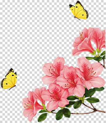 나무 식물 편집이미지 꽃 분홍색 나비 자연 생명 풍경 노란색 봄 진달래 화사함 PNG 계절 컬러 곤충 컨셉 생태계 파일형식