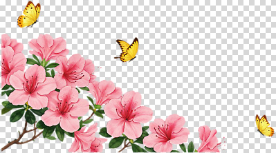 식물 편집이미지 계절 꽃 컬러 나비 자연 생명 풍경 봄 숲 진달래 생태계 PNG 만개 곤충 파일형식