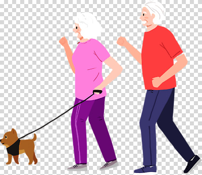 동물 편집이미지 부부 커플 공원 노년 행복 여유 모션 자연 사랑 운동 걷기 산책 개 PNG 질병예방 공공시설 감정 포유류 관계 휴식 건강 성인 질병 생태계 예방 파일형식