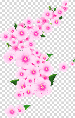 식물 계절 컬러 컨셉 생태계 파일형식 꽃 자연 분홍색 뷰티풀 잎 표현 감정 장식 화려 여름 정원 편집이미지 PNG