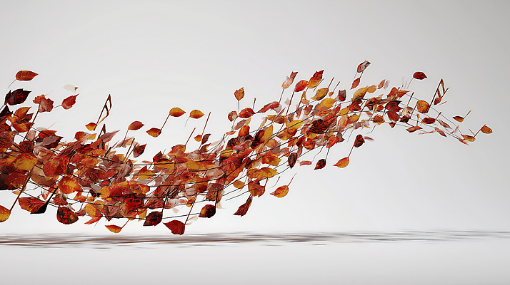 JPG 디자인 계절 컬러 백그라운드 낙엽 잎 일러스트 모션 자연 바람 풍경 공중 소리 흐름 가을 황금 위치 뷰티풀 차분 국내일러스트 AI일러스트 AI콘텐츠 자연요소 식물 컨셉 날씨 생태계 파일형식