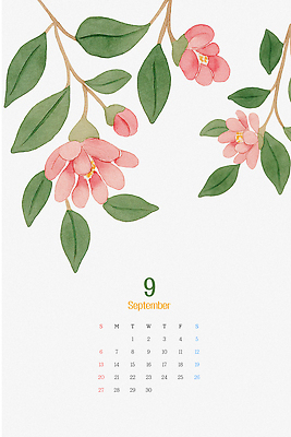 PSD 식물 편집이미지 디자인 계절 꽃 예술 분홍색 자연 나뭇잎 수채화 일상 정원 계곡 달력 뷰티풀 이미지편집 컬러 잎 라이프 생태계 파일형식