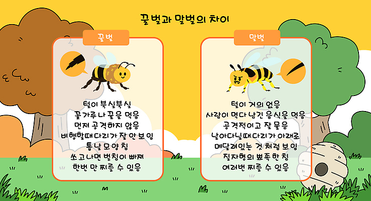 교육 곤충 일러스트 자연 생명 환경 정보 성장 꿀벌 생태 생태계 생물학 안전수칙 공생 벌초 생리 역할 특징 차이티 국내일러스트 AI파일 동물 안전 차_음료 벌_곤충 생리현상 파일형식 벡터