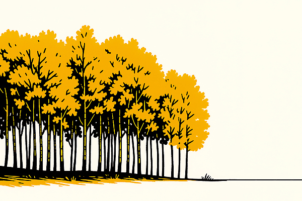 JPG 나무 식물 일러스트 자연 하늘 생명 풍경 햇빛 평화 고요 금색 가을 나뭇가지 숲속 숲 지방 조용 뷰티풀 비어있는 국내일러스트 AI일러스트 AI콘텐츠 계절 컬러 컨셉 태양 기름_음식 생태계 파일형식