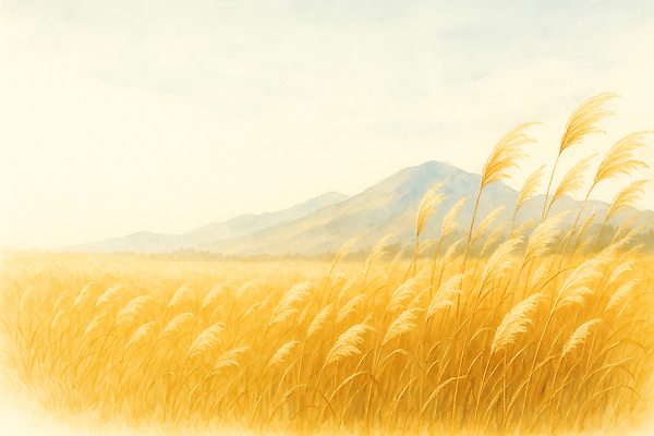 JPG 식물 농업 일러스트 자연 하늘 생명 바람 산 풍경 초원 야외 여름 농작물 햇빛 평화 분위기 조화 뷰티풀 오후 국내일러스트 AI일러스트 AI콘텐츠 자연요소 계절 산업 컨셉 날씨 태양 생태계 파일형식